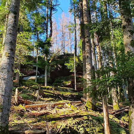 فيلا La Gambas Des Bois Saint-Quirin المظهر الخارجي الصورة